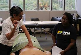 massage therapy school