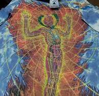 alex grey art