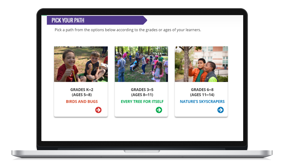 online training courses