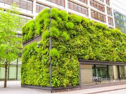 environmental architecture