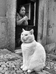 famous photographers modern