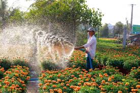 horticulture courses