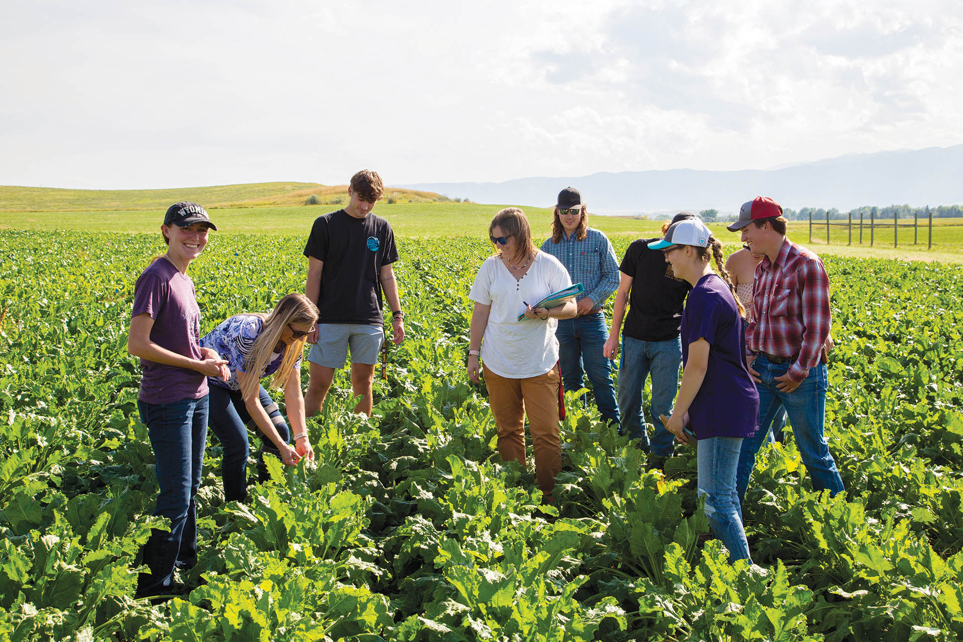 agriculture courses