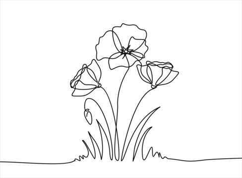 line art drawing
