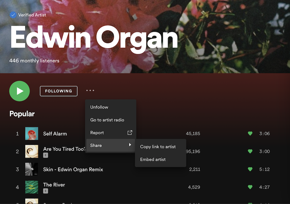 spotify for artist
